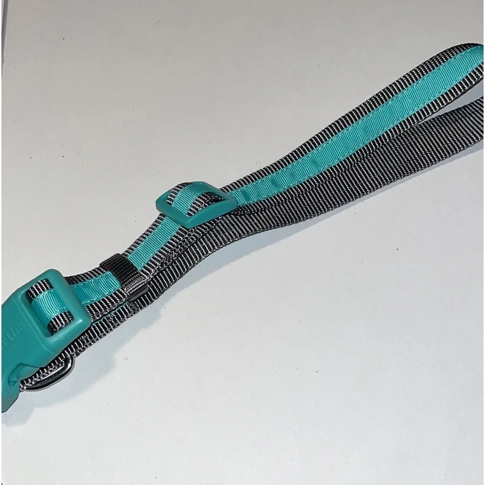 Aqua Martha Stewart Nylon Dog Collar 18-26”